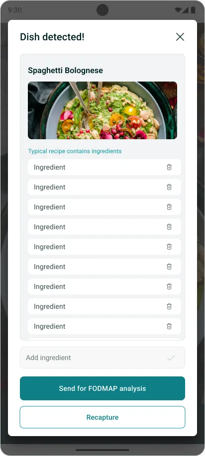 Detected dish with editable ingredients