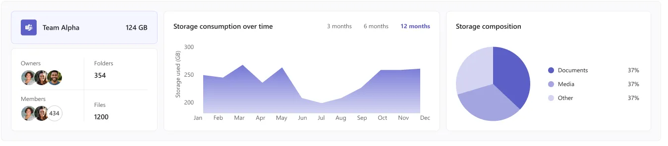 Entity page summary row: identity card, storage consumption over time and storage composition