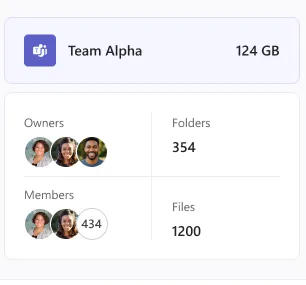 Team Alpha identity card with owners, members, folders and files
