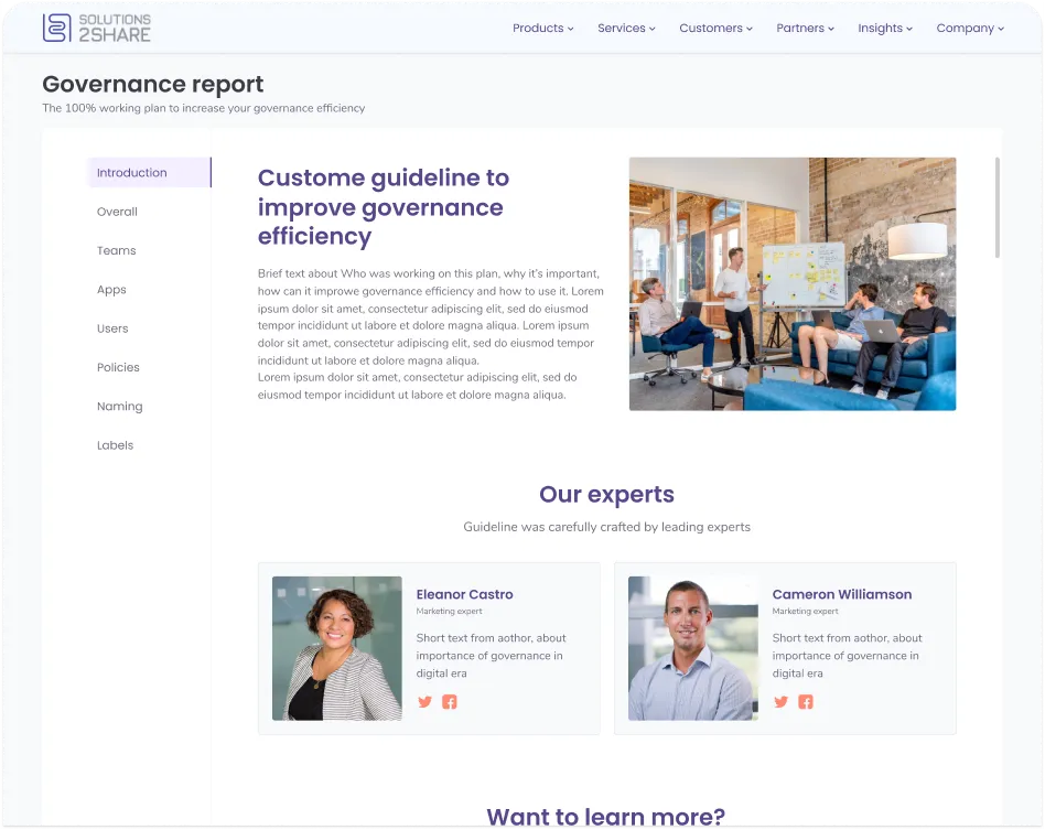 Governance report with expert guidance